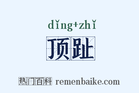 顶趾是什么意思的图片